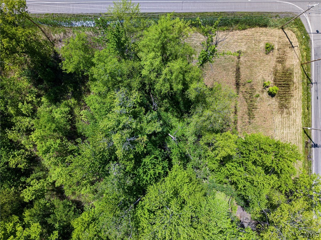 6859 Kirkville Road