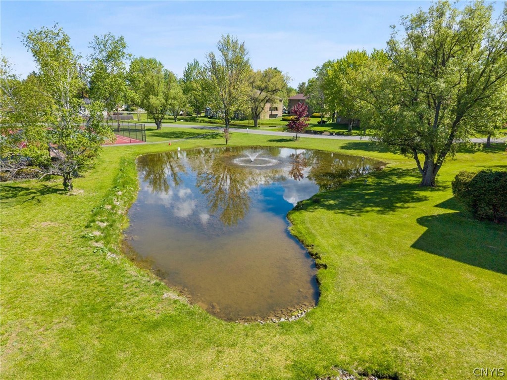 266 Watertree Drive