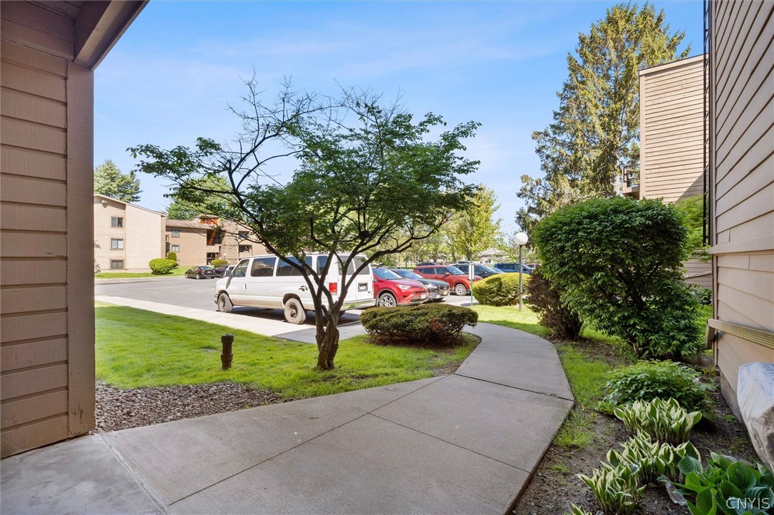 266 Watertree Drive