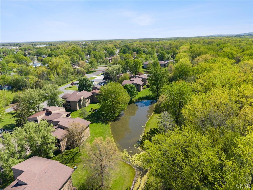 266 Watertree Drive
