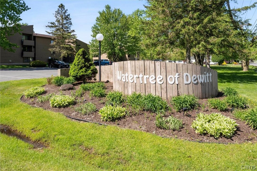 266 Watertree Drive