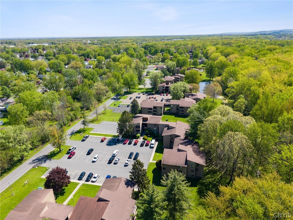 266 Watertree Drive