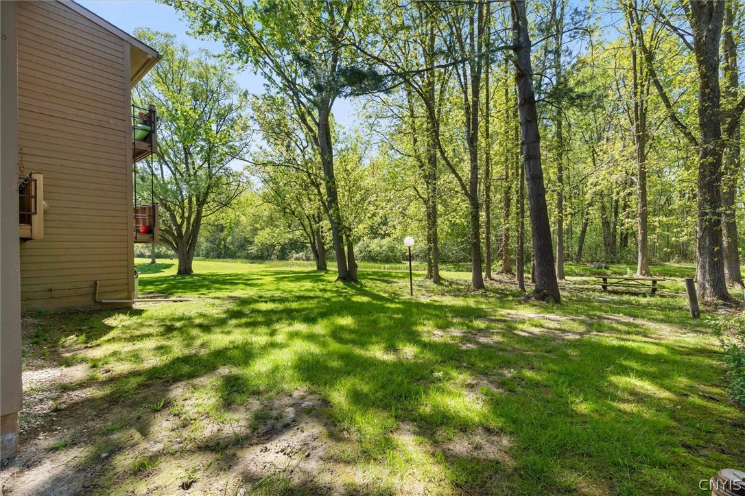 266 Watertree Drive