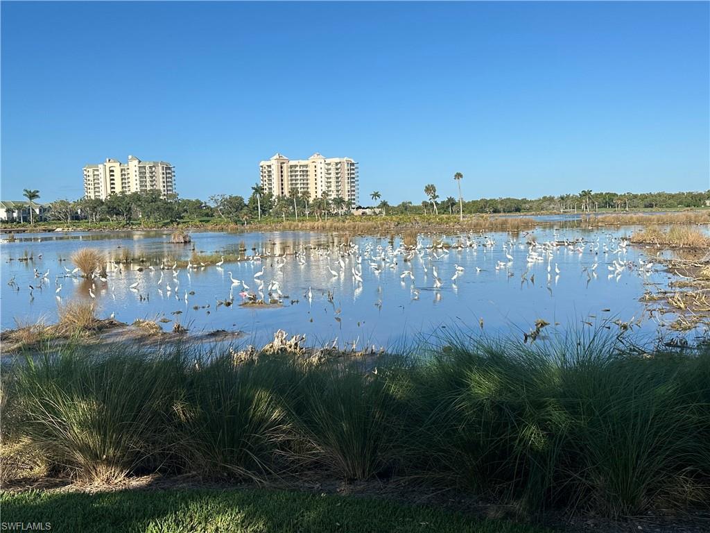 4951 Bonita Bay BLVD # 401