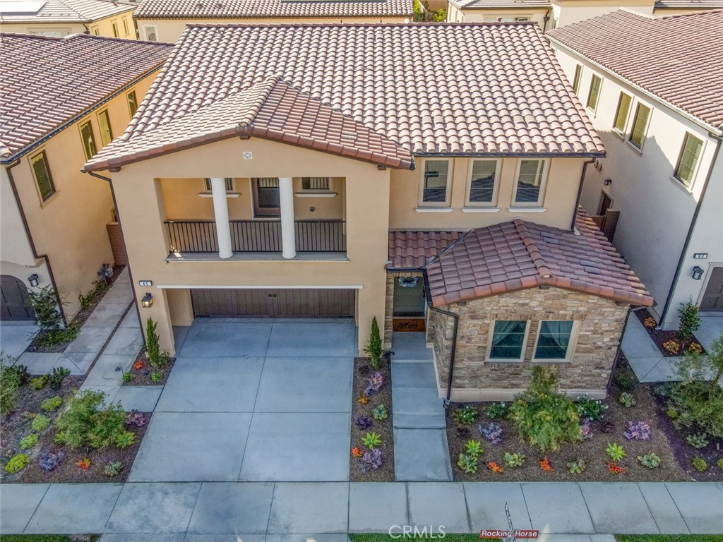 65 Rockinghorse