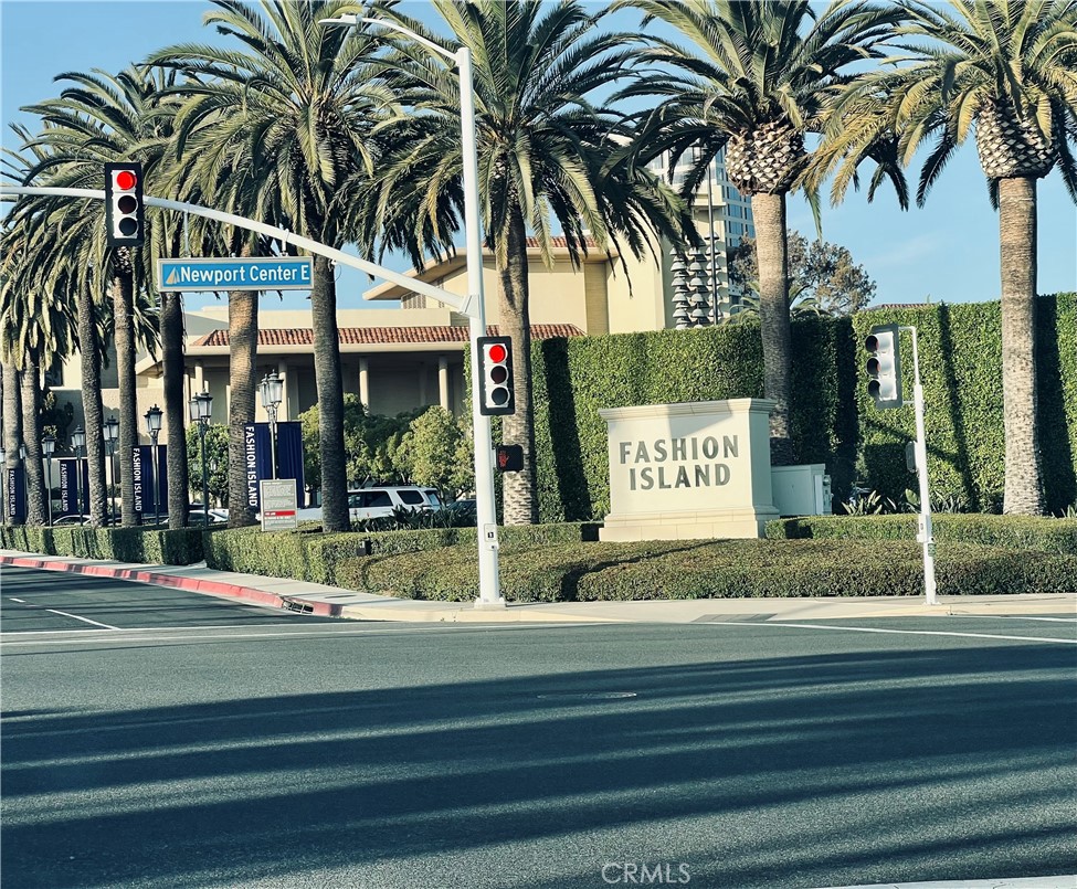 519 .5 Larkspur Avenue