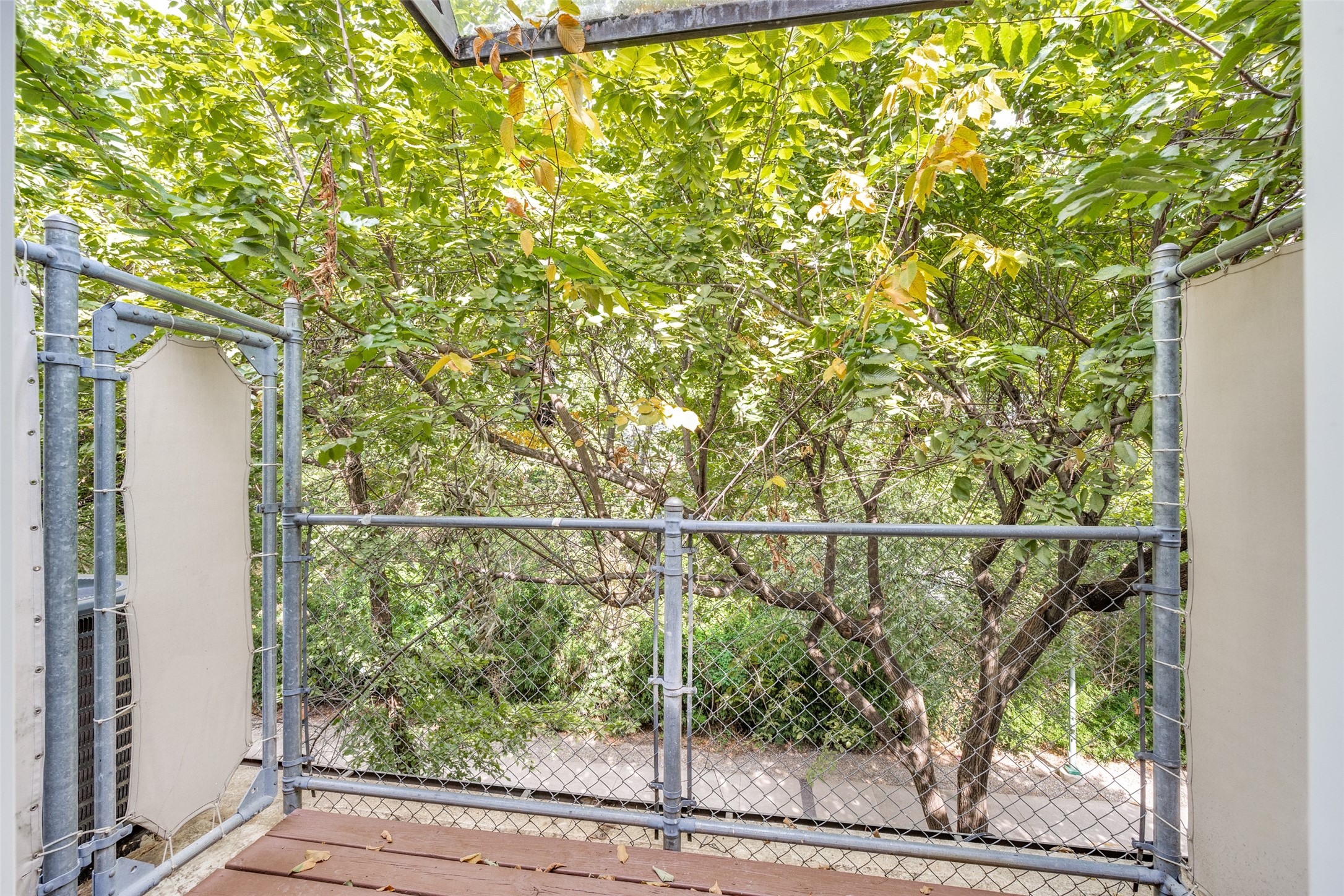 4223 Buena Vista Street 9