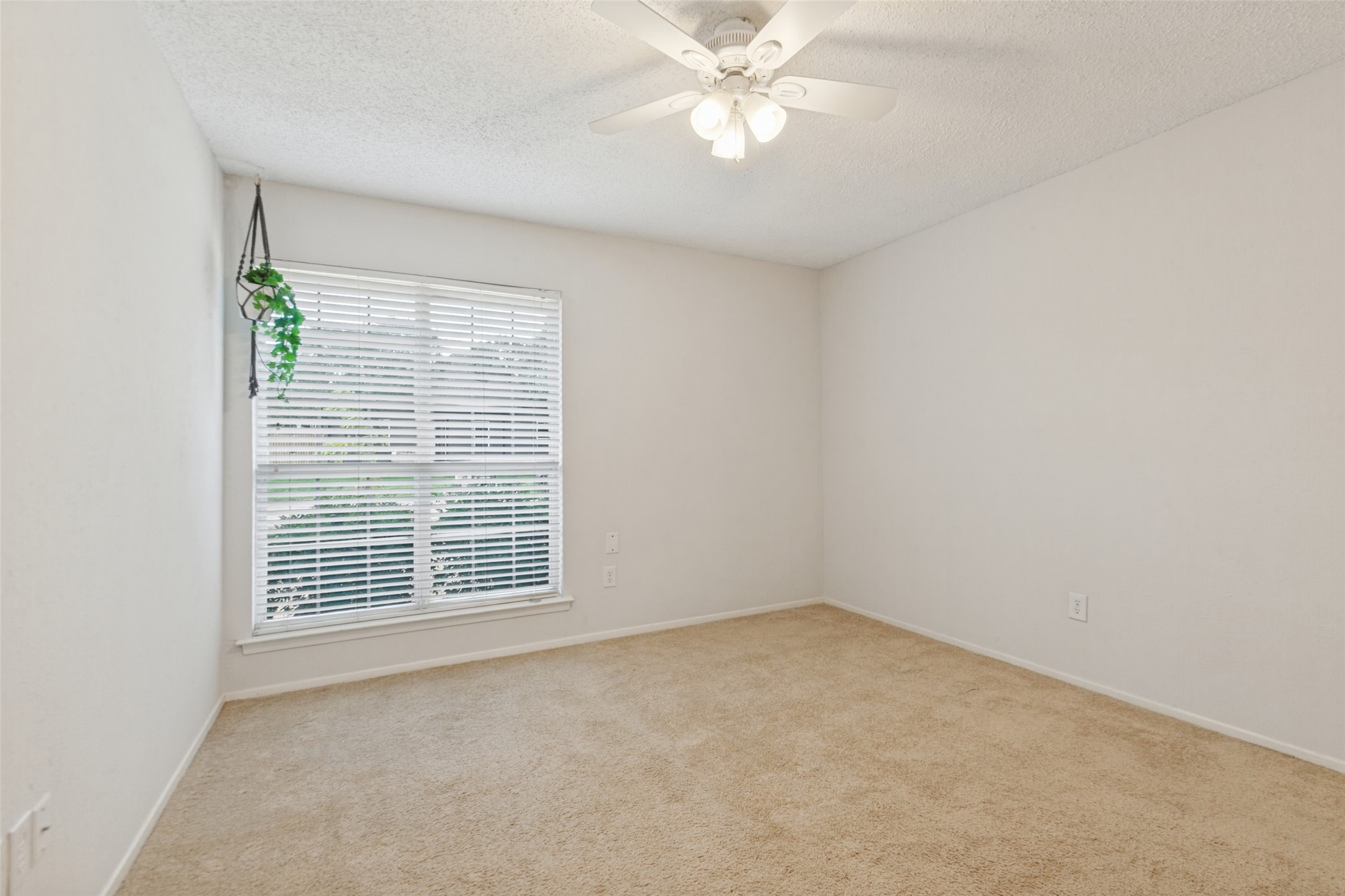 1114 Midway Drive