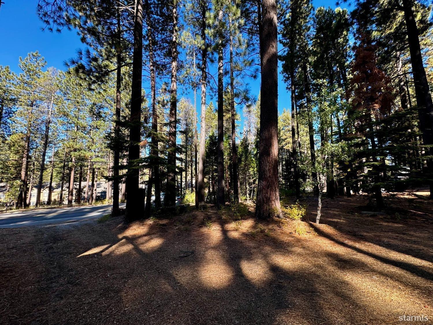 3334 Pioneer Trail