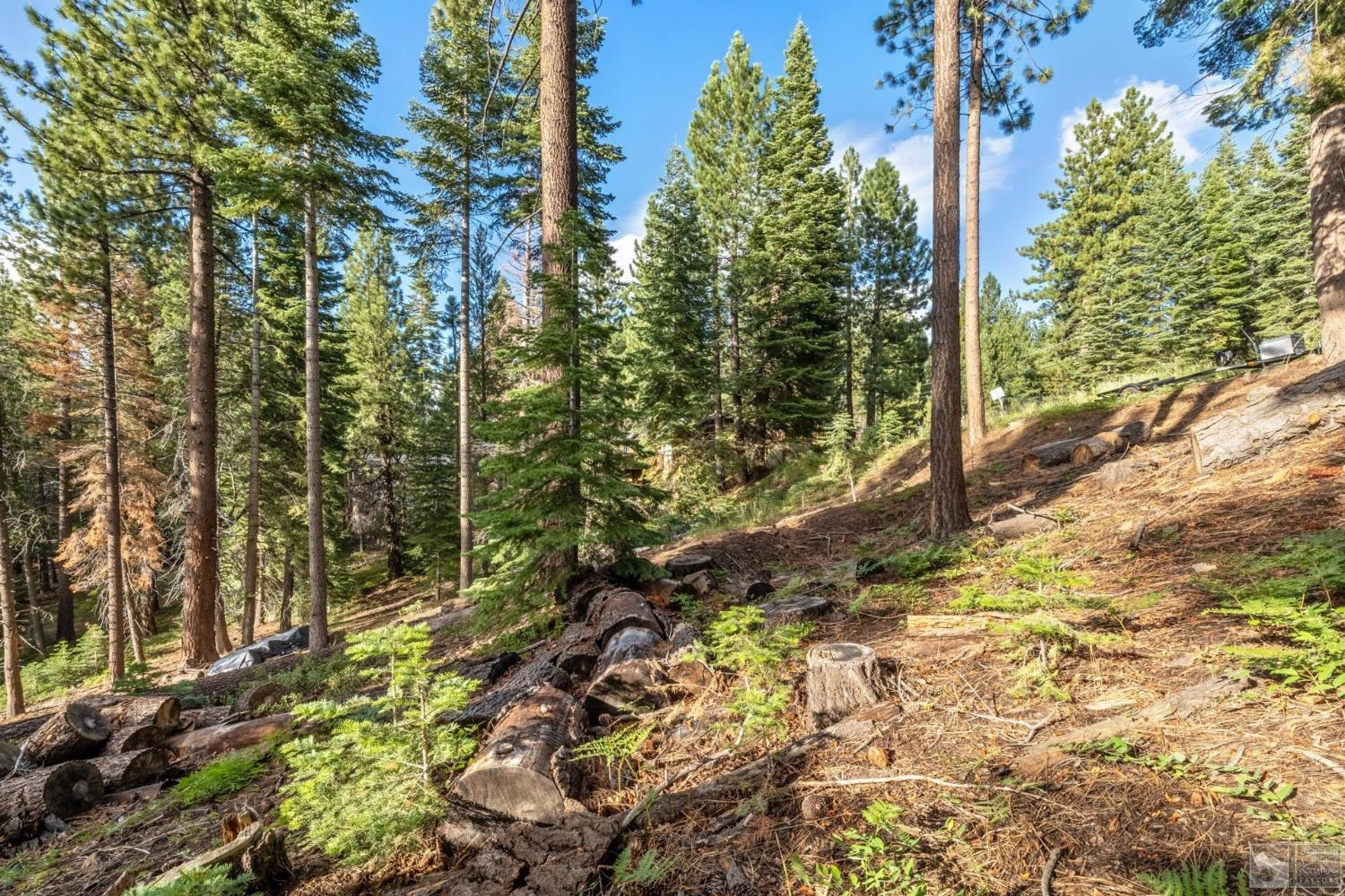 1428 Skyline Drive