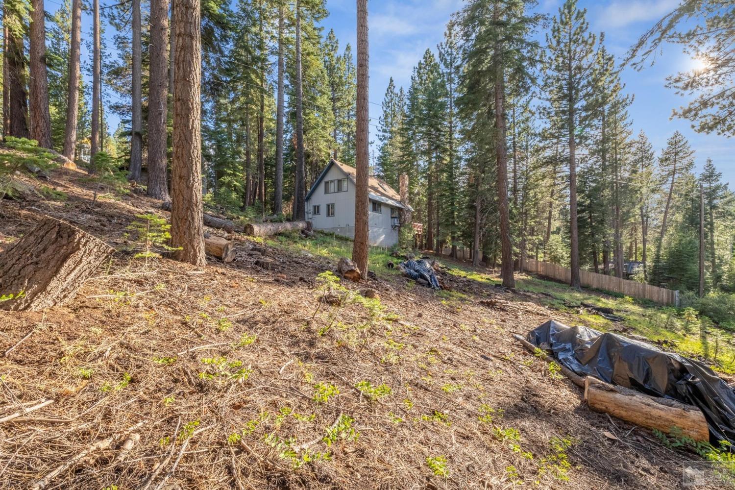 1428 Skyline Drive