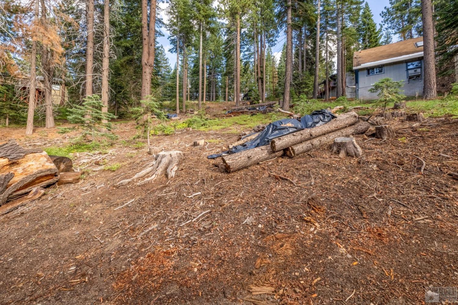 1428 Skyline Drive