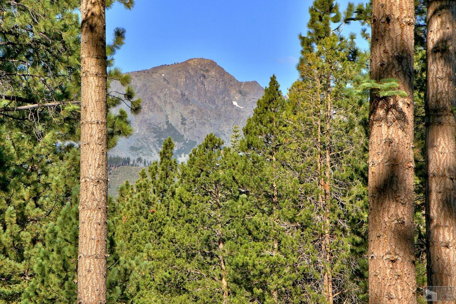 1428 Skyline Drive