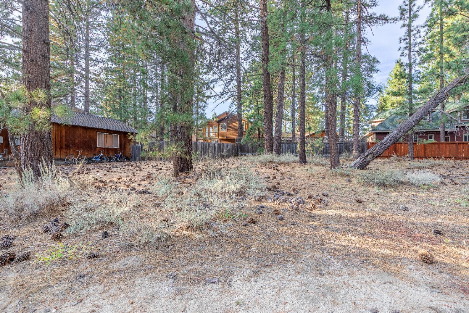 731 Tallac Avenue