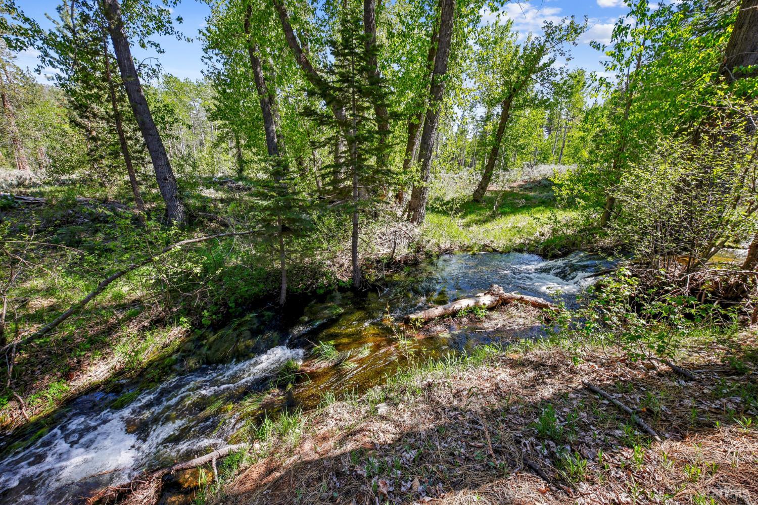 3771 S Upper Truckee Road