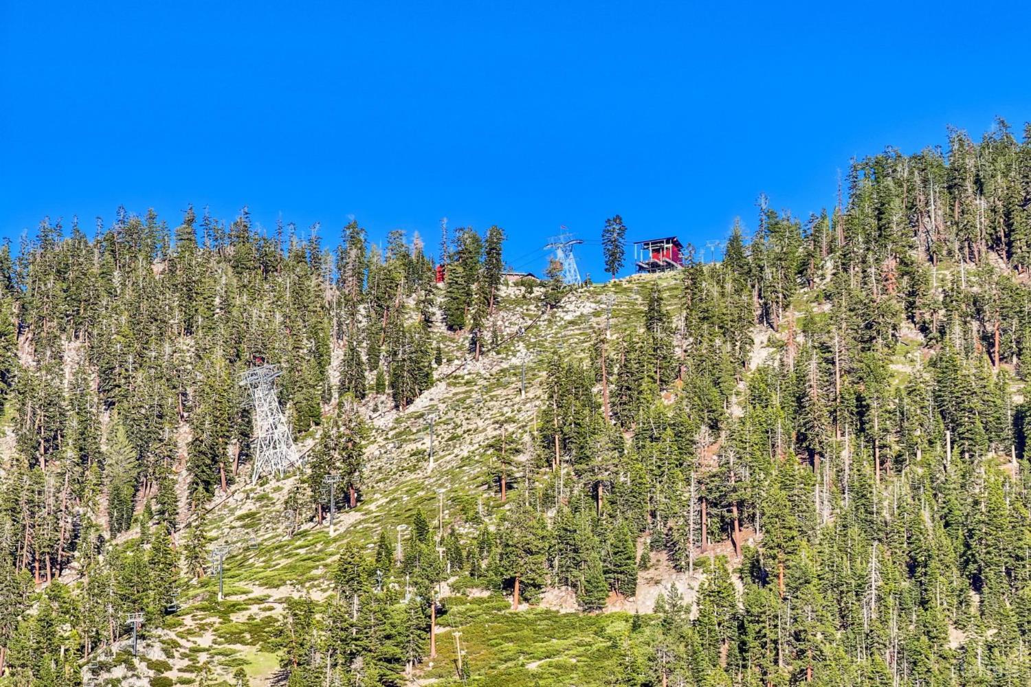1410 Ski Run Boulevard Unit: 10