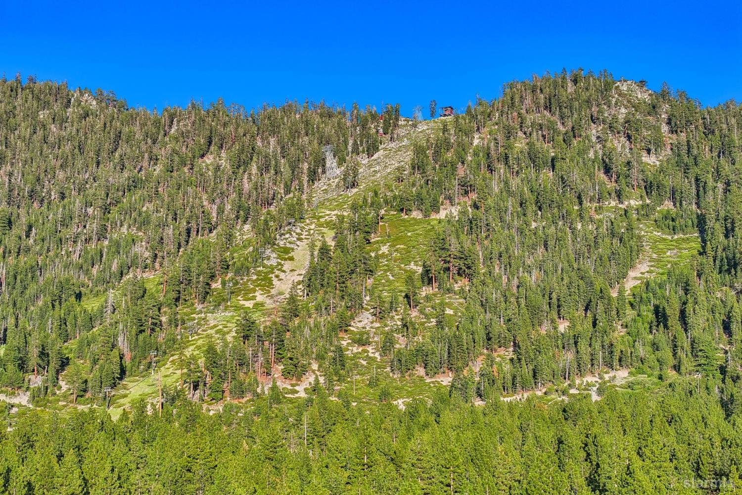 1410 Ski Run Boulevard Unit: 10