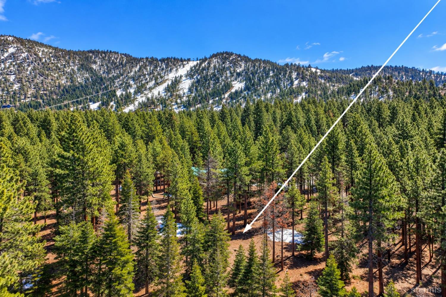 1412 Ski Run Boulevard