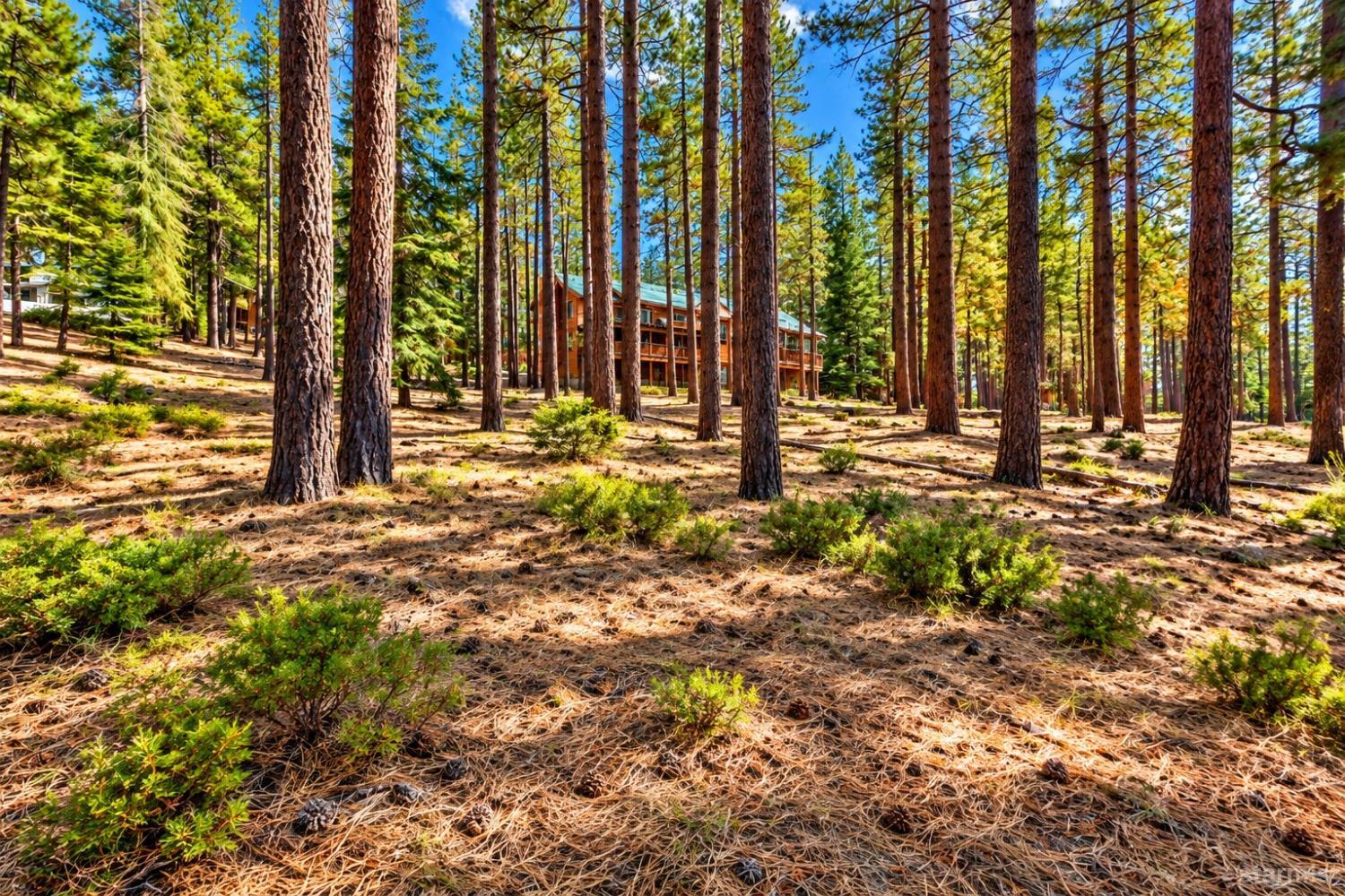 1412 Ski Run Boulevard