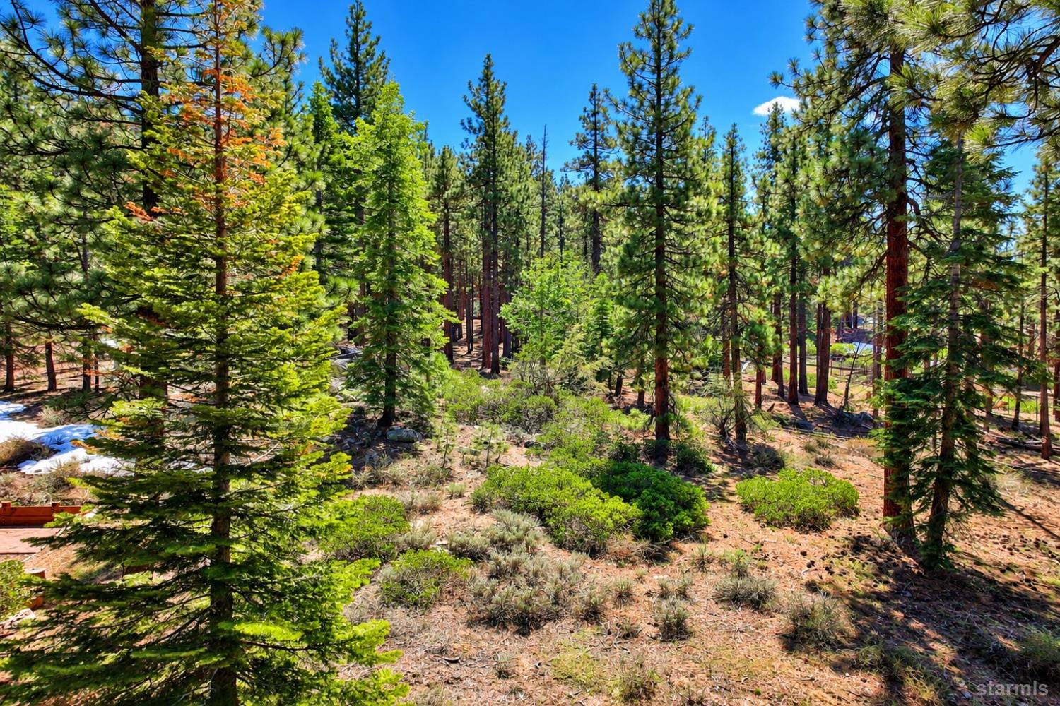 1412 Ski Run Boulevard