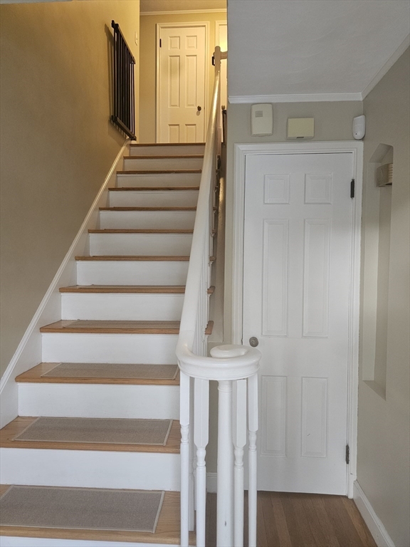 614 Salisbury Street