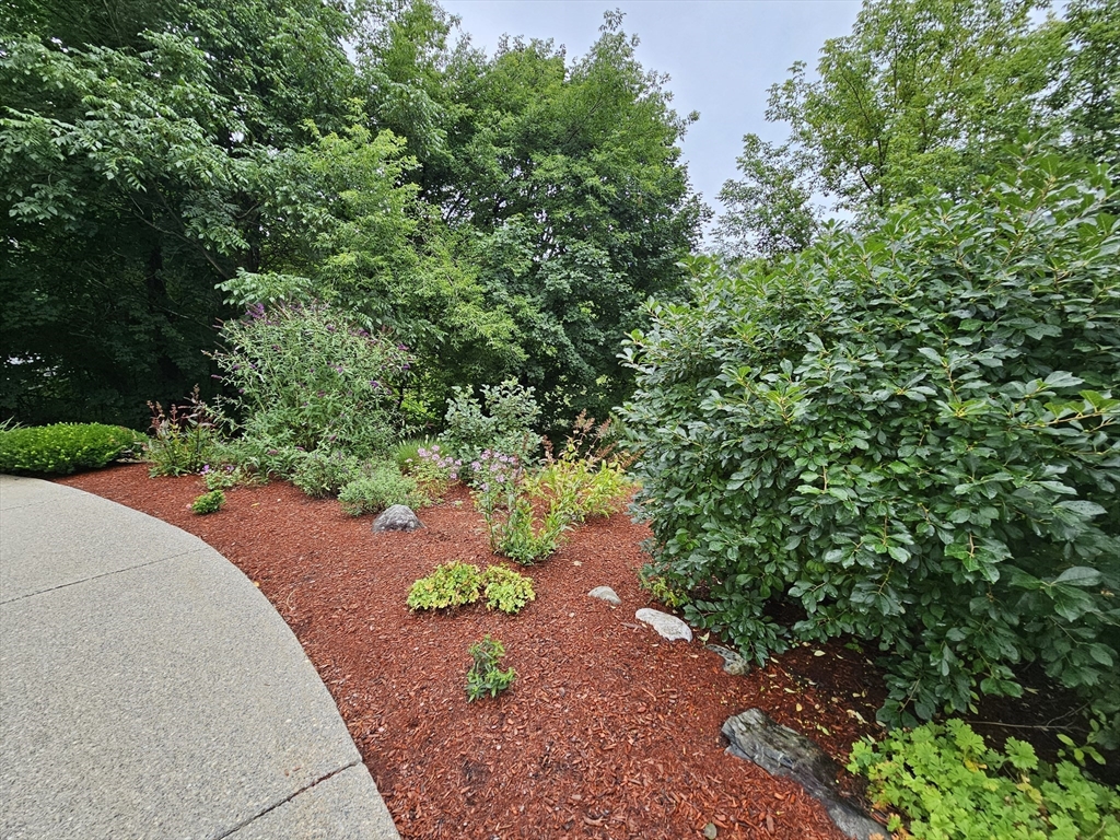 59 School Street # B1