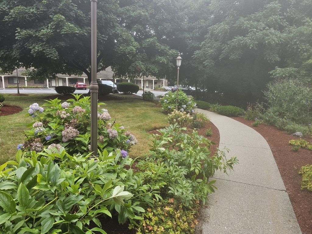 59 School Street # B1