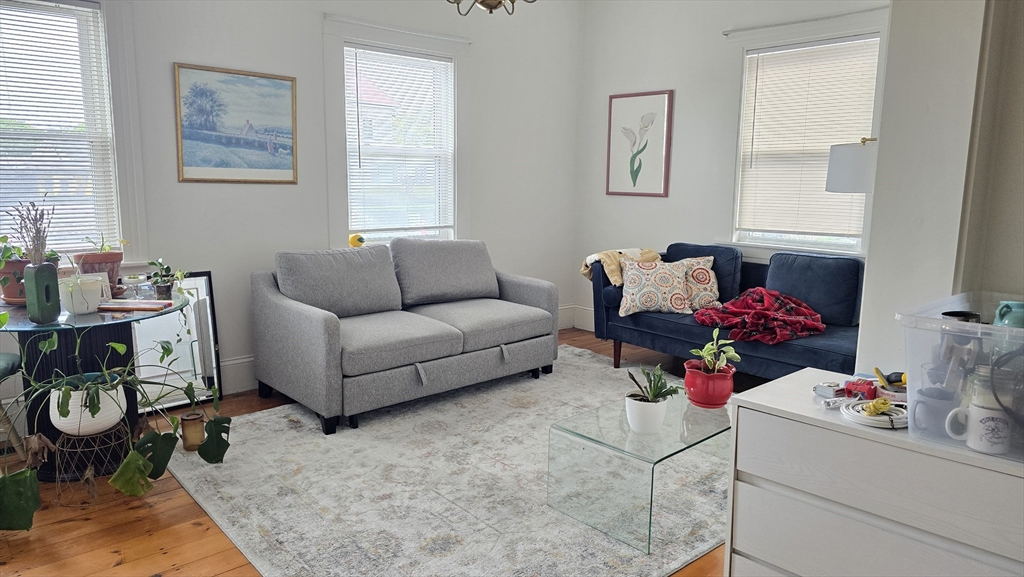 331 Plantation Street # 1