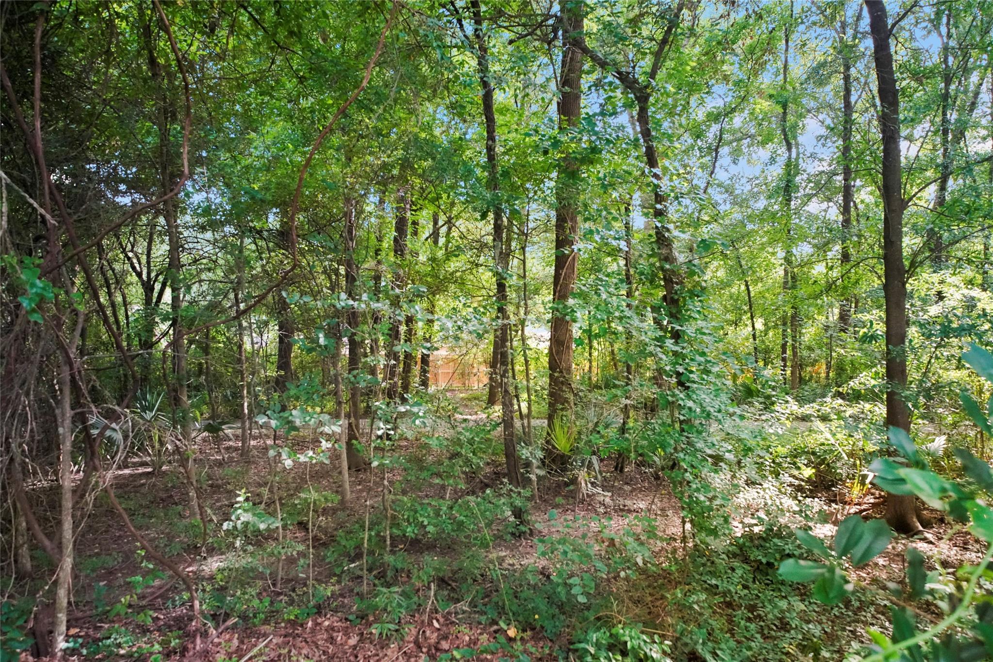 3134 Village Park Drive