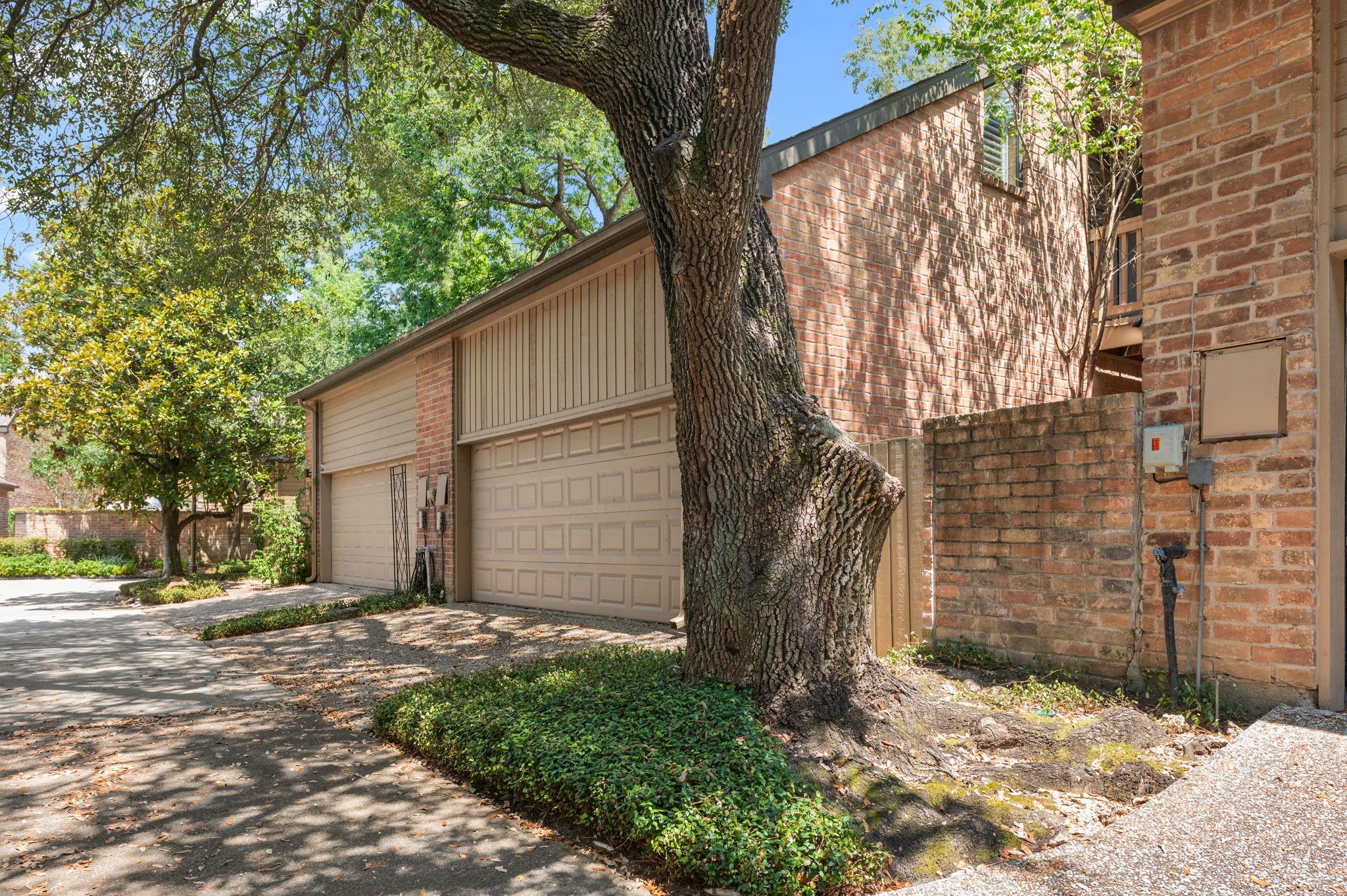 294 Sugarberry Circle