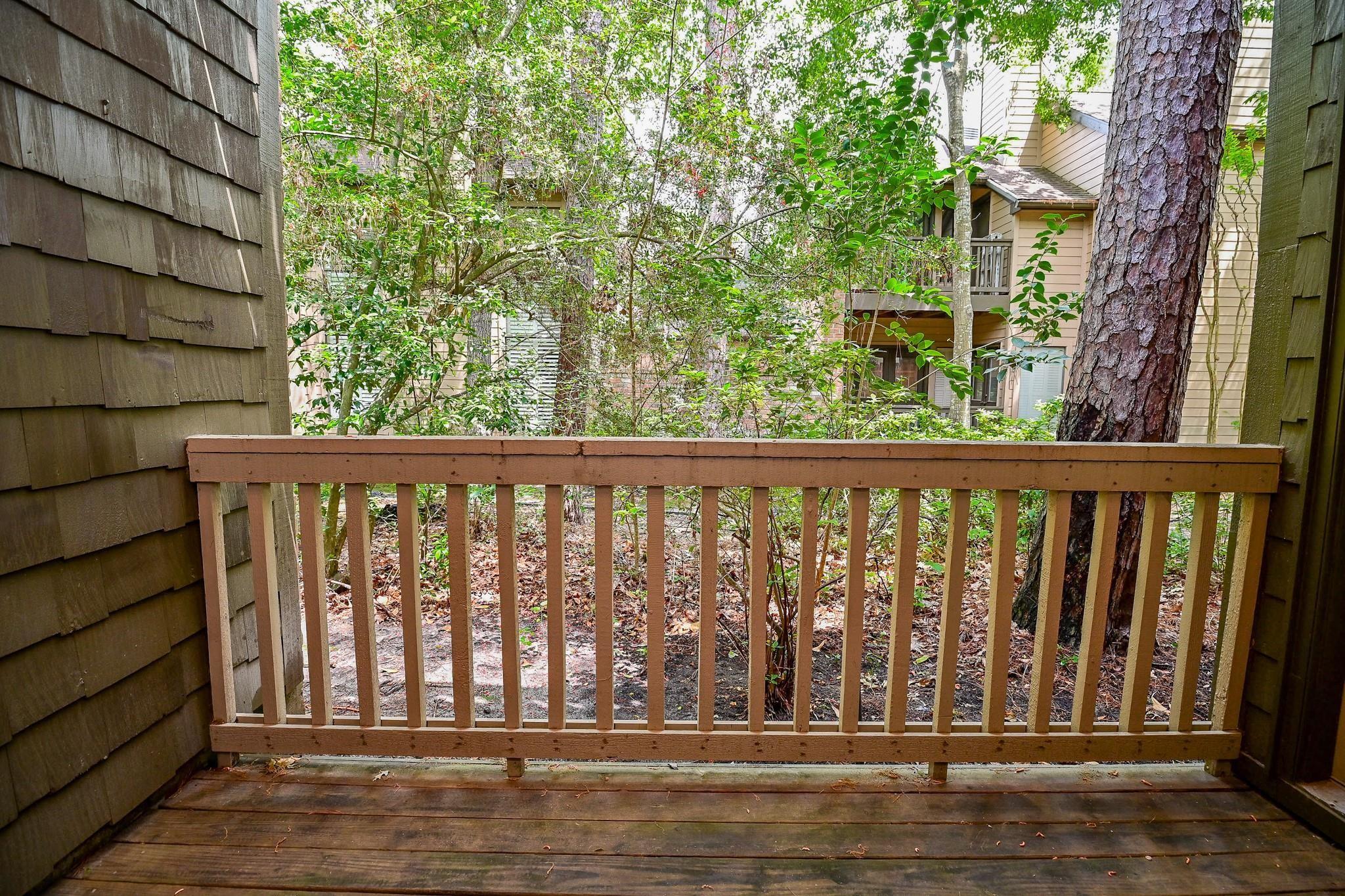 294 Sugarberry Circle