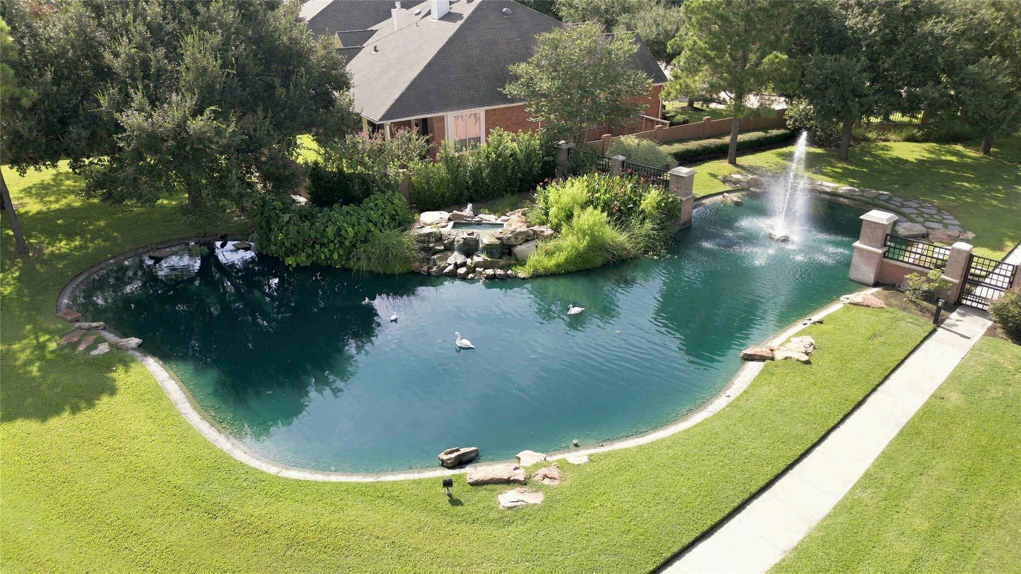 Landscaped pond with a fountain and white swans beside a brick house.