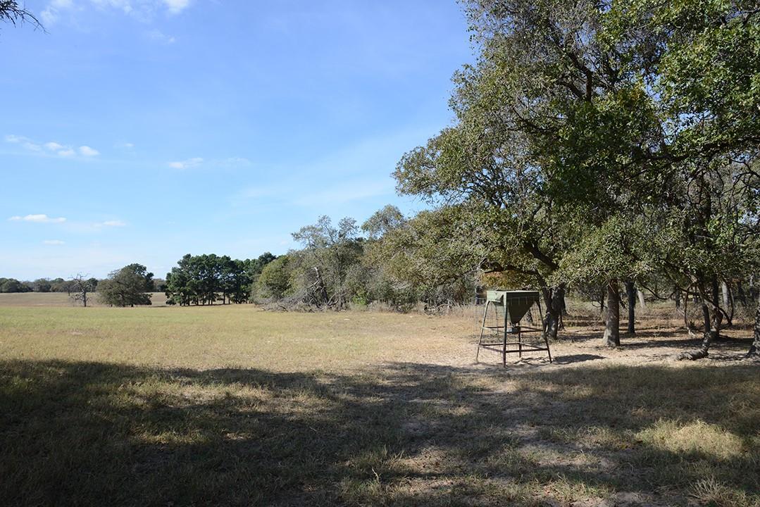 FM466 Pine Ranch Road