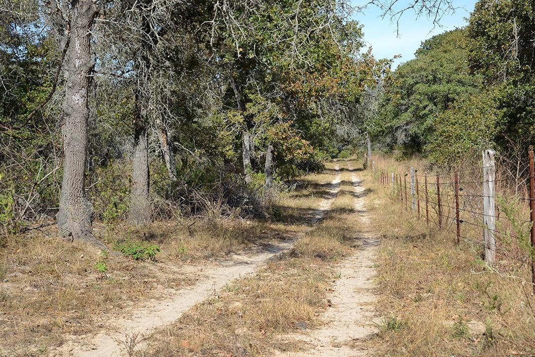 FM466 Pine Ranch Road