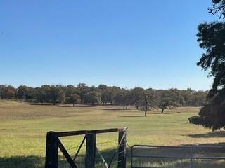 FM466 Pine Ranch Road