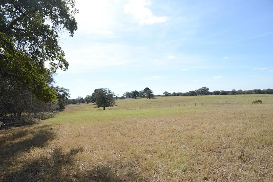 FM466 Pine Ranch Road