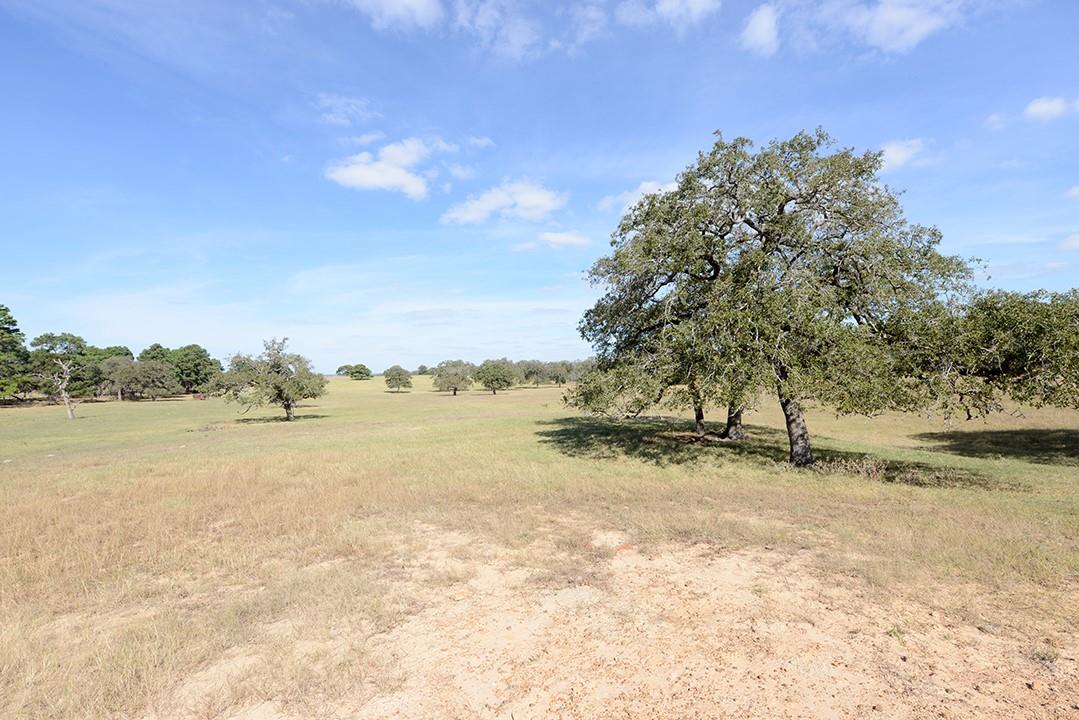 FM466 Pine Ranch Road