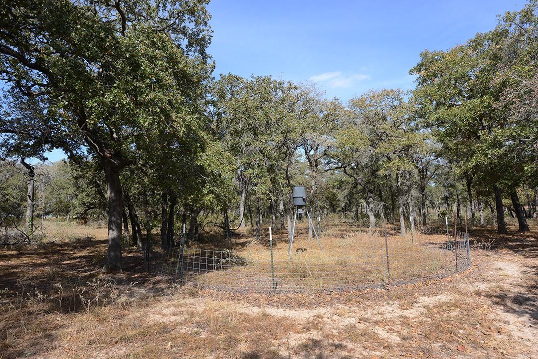 FM466 Pine Ranch Road