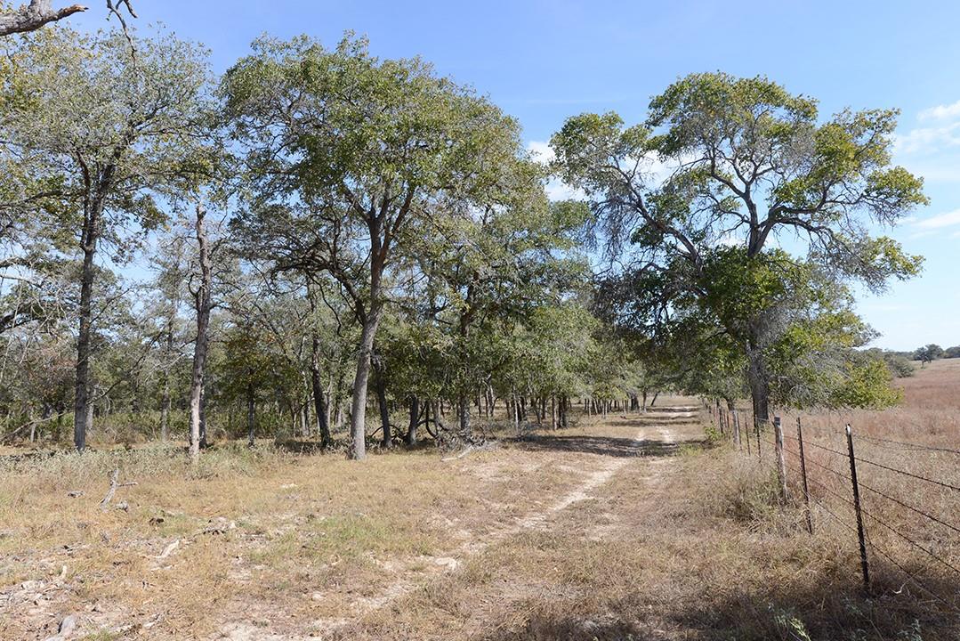 FM466 Pine Ranch Road