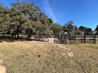 FM466 Pine Ranch Road