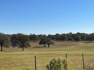 FM466 Pine Ranch Road