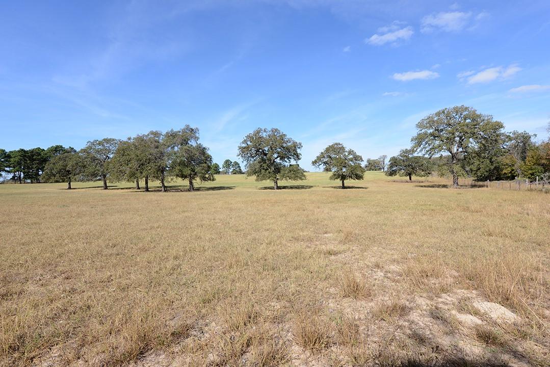 FM466 Pine Ranch Road