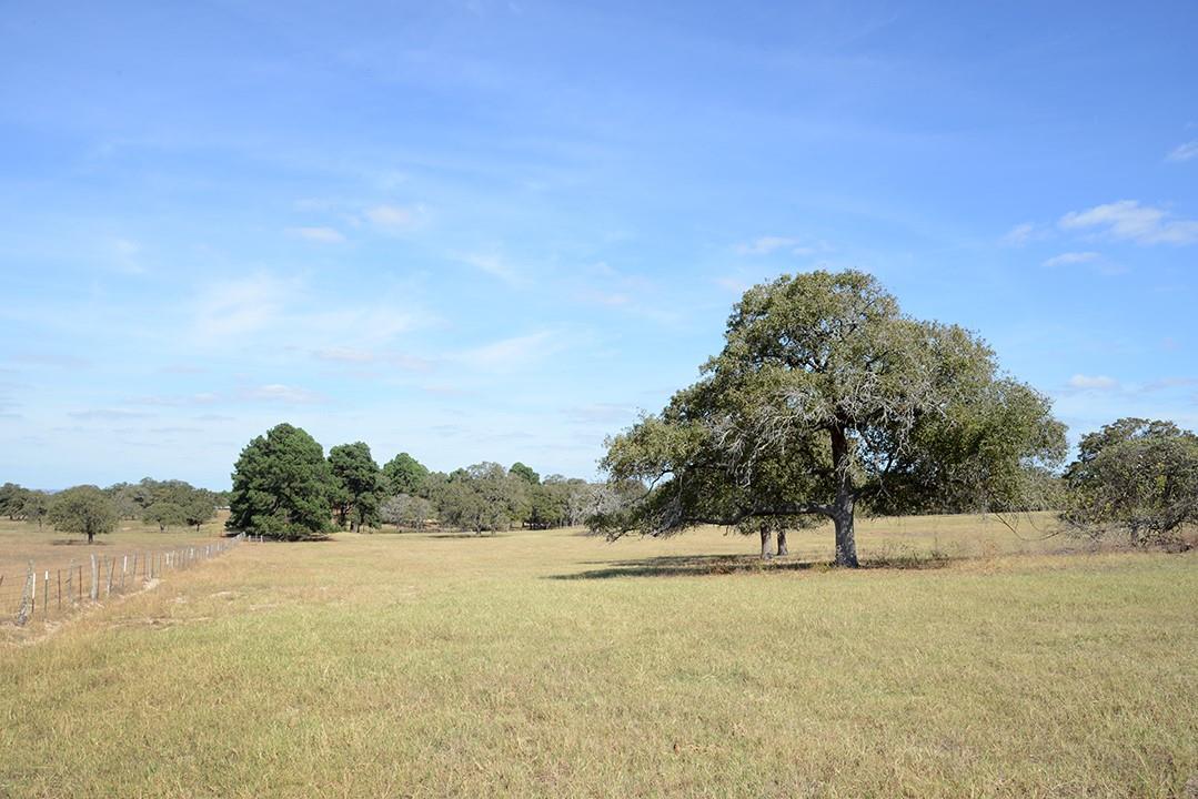FM466 Pine Ranch Road
