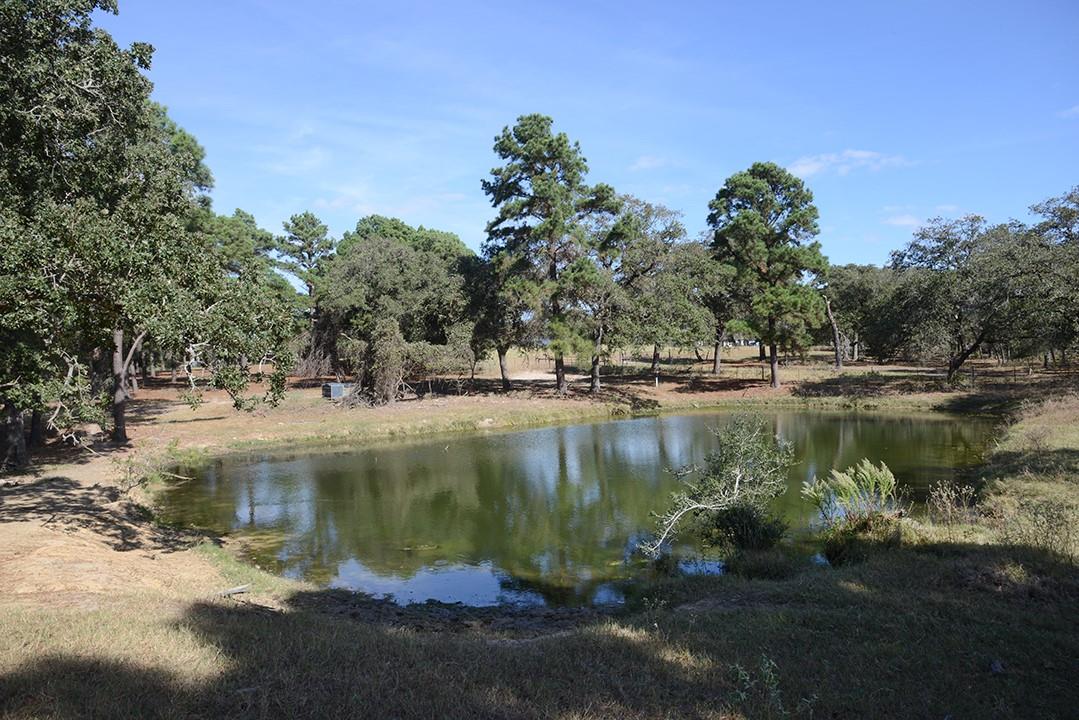 1111 Pine Ranch Road