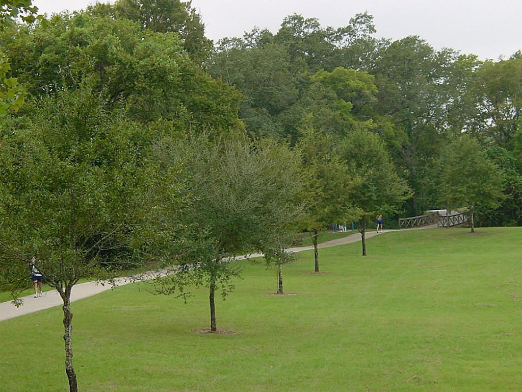 527 Briar Knoll Drive