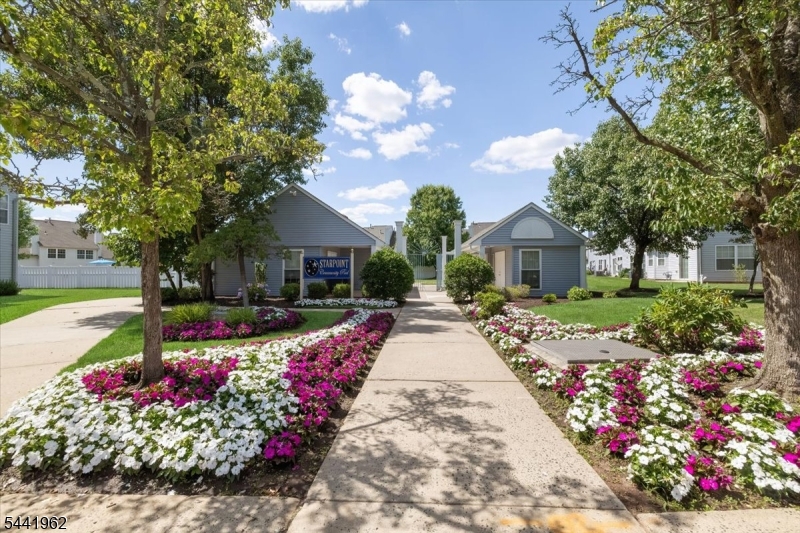 286 Nebula Rd