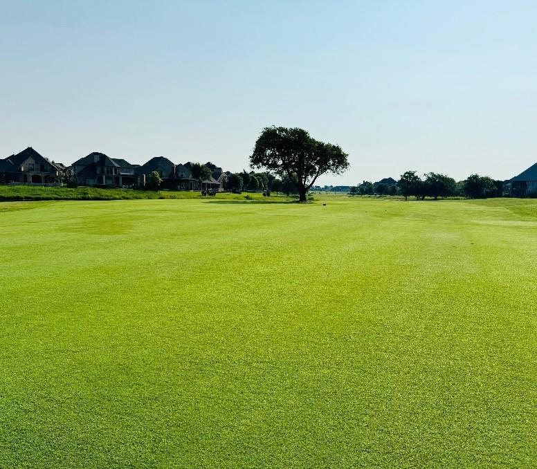 16733 Little Leaf Court