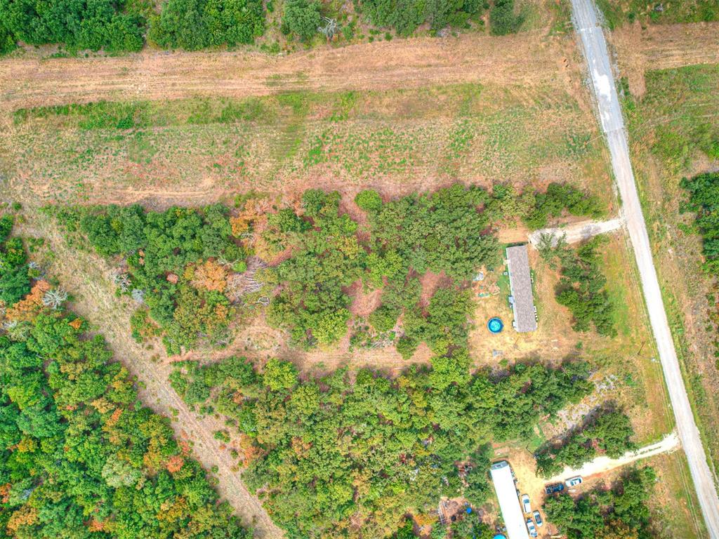 101735 Green Moss Trail