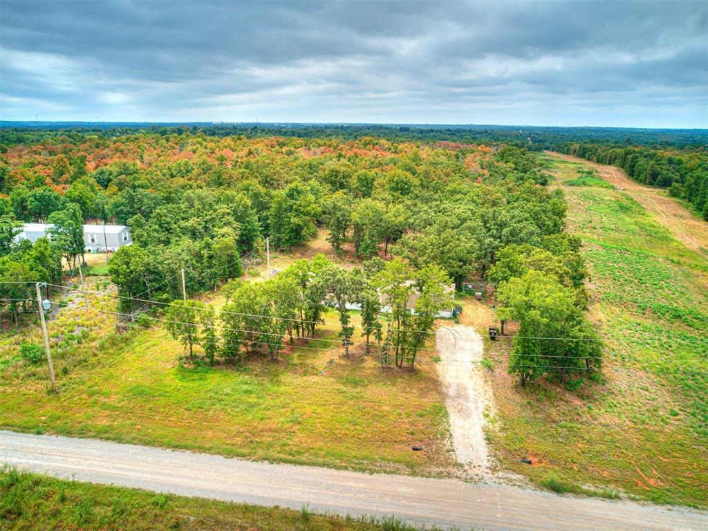 101735 Green Moss Trail