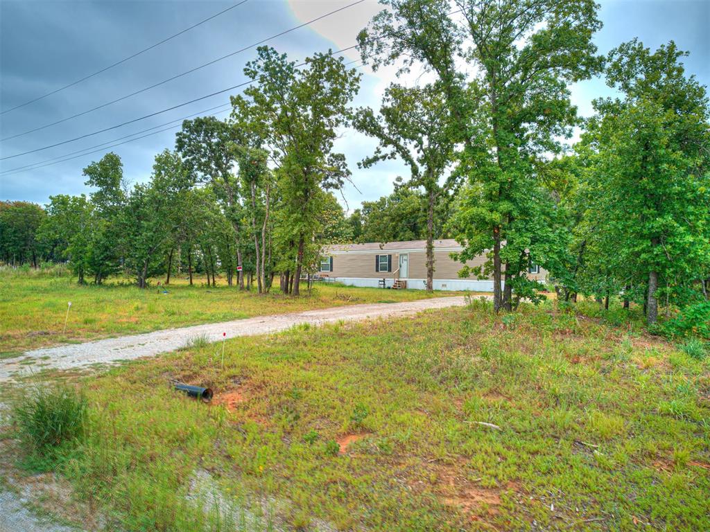 101735 Green Moss Trail